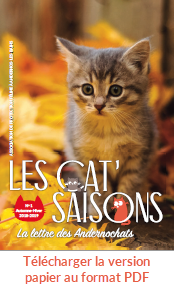 Couverture du no de la version papier  de Cat' Saisons