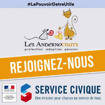 Affichette Service civique