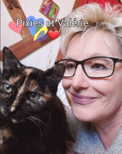 Pixies et Valérie